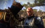 Witcher2_2011-03-30_16-17-51-14