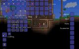 Terraria12