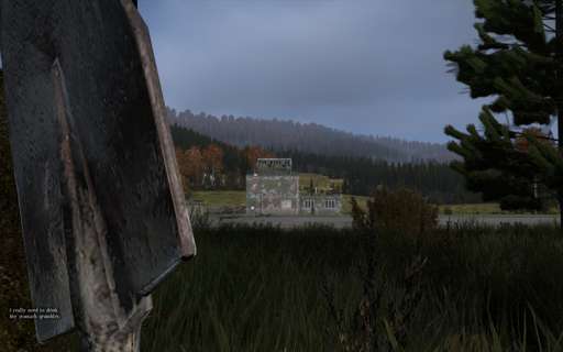 DayZ Standalone - Первые впечатления